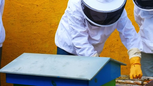 inauguration rucher 2025.mov