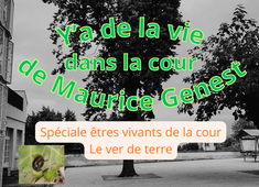 le ver de terre -qualité moyen.mp3