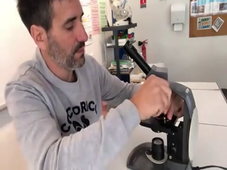 Vidéo_microscope.mp4