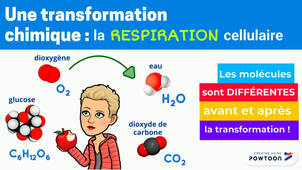 Transformation physique ou chimique _.mp4