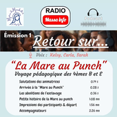 Mare au punch diminuee.mp4