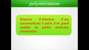 CTM4a-5 : Polymères
