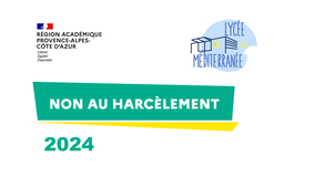 Témoignages sur le harcèlement scolaire