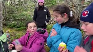 Anse à Henry : sur les traces des peuples autochtones