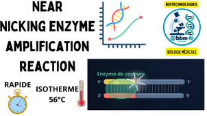 Amplification NEAR : amplifier l'ADN sans cycles de température | Animation