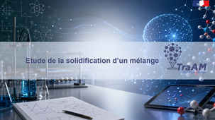 TraAM 2025-2026 : Température de solidification de l'eau salée en 5e