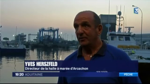 Activité 1 : Dans les coulisses de la criée d'Arcachon