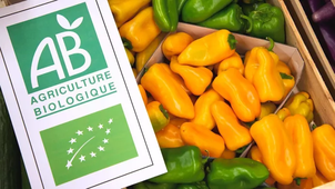 Interview de Mallorie Abry, agricultrice