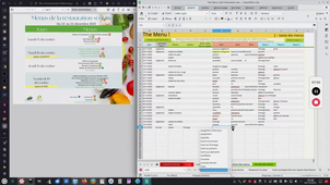 Présentation de l'application 