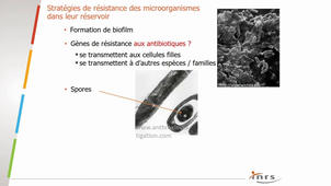 Réservoirs d'agents biologiques
