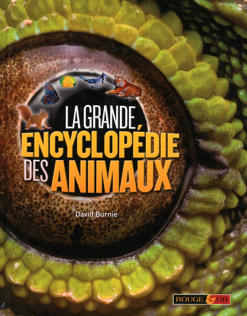 Jeu PC LA GRANDE ENCYCLOPÉDIE 2005 - Version Française Complète, Comme Neuf