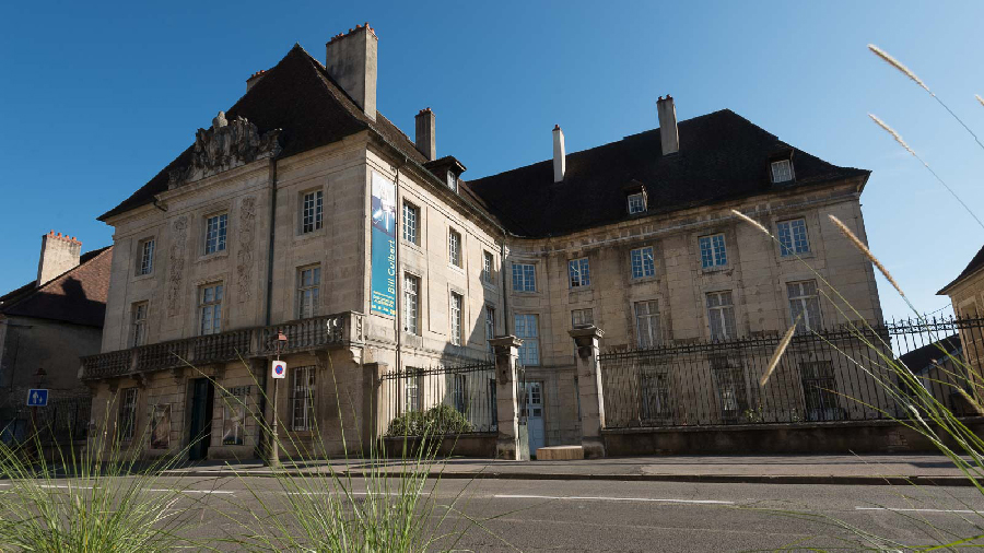 PodEduc MuséE Des BeauxArts De Dole (39)