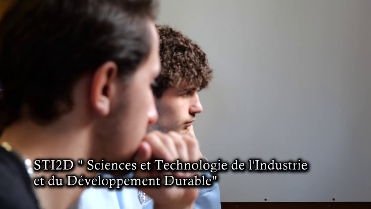 Sciences et technologies de l'industrie et du développement