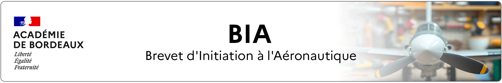 Bannière BIA – Académie de Bordeaux