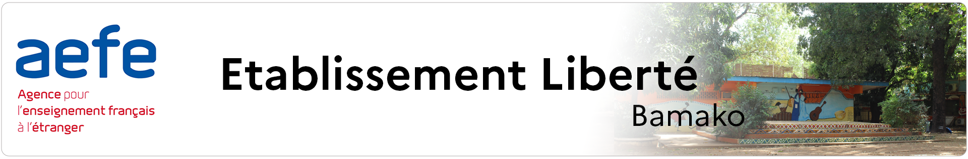 Bannière AEFE - Etablissement Liberté - Bamako