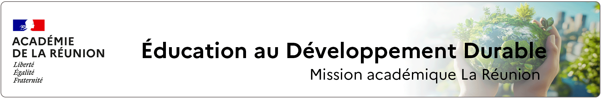 Bannière EDD - Académie de La Réunion