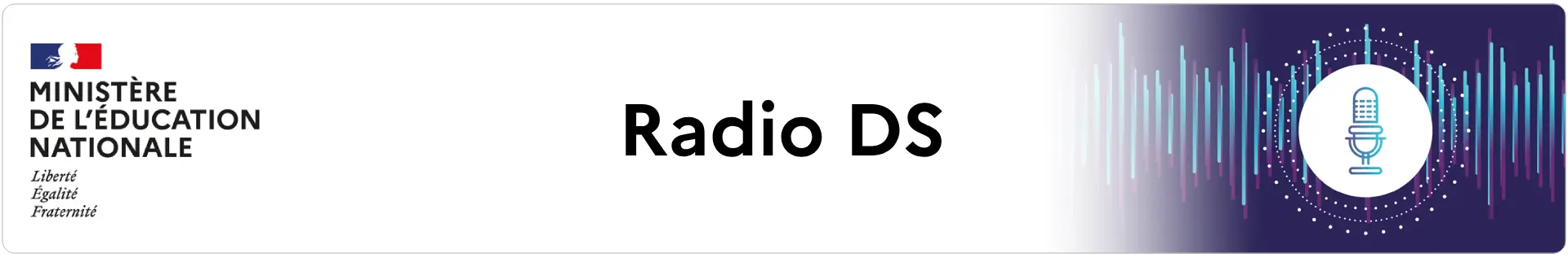 Bannière Radio DS